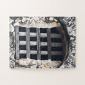 Puzzle Guarded Light Through Wooden Bars (Horizontal)