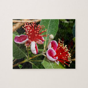 Puzzle Guava ananas / Guavasteen