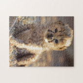 Puzzle Guépard 19 jours petit mâle (Horizontal)