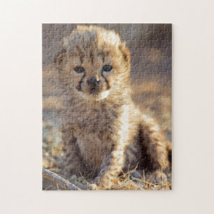 Puzzle Guépard 19 jours petit mâle