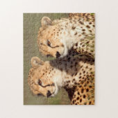 Puzzle Guépard couché dans l'herbe, Ngorongoro Conservati (Vertical)
