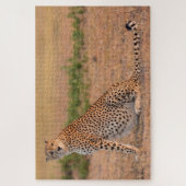 Puzzle Guépard se reposant tôt le matin (Vertical)