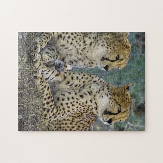 Puzzle Guépard spectaculaire (Horizontal)