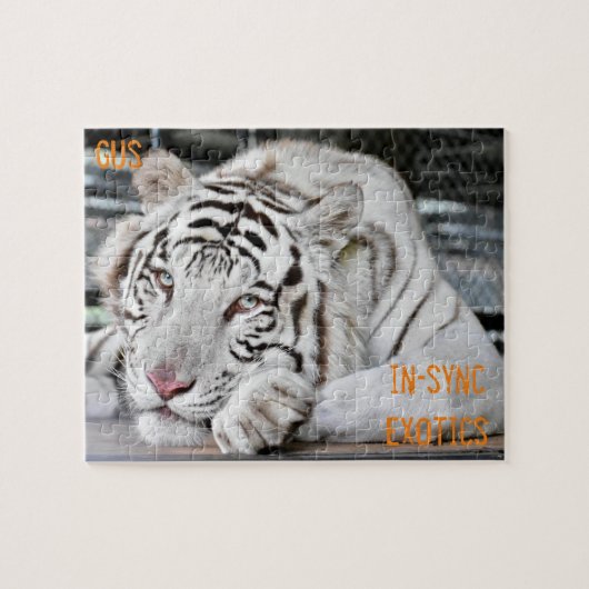 Puzzle Gus - (Horizontal)