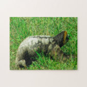 Puzzle Guyana Sloath. (Horizontal)