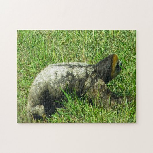 Puzzle Guyana Sloath. (Horizontal)