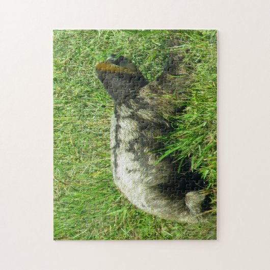 Puzzle Guyana Sloath. (Vertical)