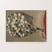 Puzzle Hachure d'oeufs de tortue de bébé (Horizontal)