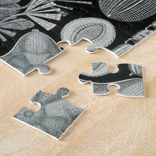 Puzzle Haeckel Diatomea (Côté)