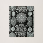 Puzzle Haeckel Diatomea (Vertical)