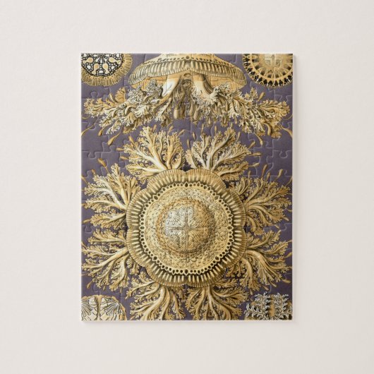 Puzzle Haeckel Discomedusae (Vertical)