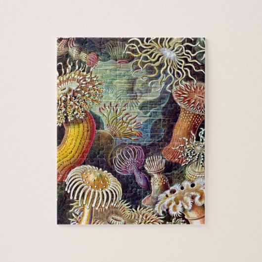 Puzzle Haeckel Sea Anemone Ocean Life Nature Art Peinture (Vertical)