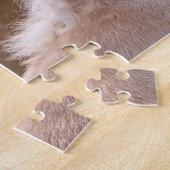 Puzzle Haflinger mare and foal cuddling (Côté)