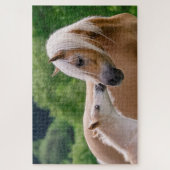 Puzzle Haflinger mare and foal cuddling (Vertical)