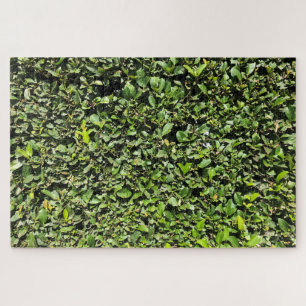 Puzzle haie inexistante