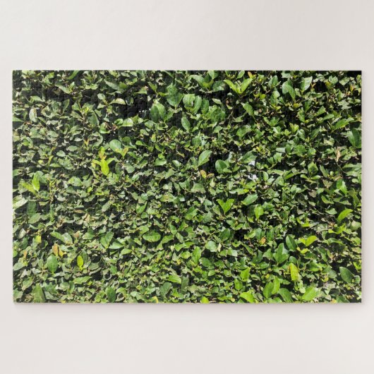 Puzzle haie inexistante (Horizontal)
