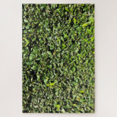 Puzzle haie inexistante (Vertical)