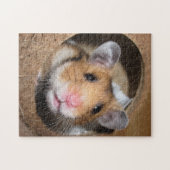 Puzzle Hamster syrien pour animaux de compagnie - Hamster (Horizontal)