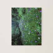 Puzzle Hana Shobu (Japanese Water Iris), Meiji Shrine, (Vertical)