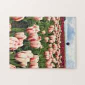 Puzzle Happy Generation Tulip Field, Oregon (Horizontal)