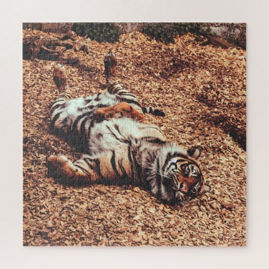 Puzzle Happy Tiger Belly Up Rolling en Feuille (Vertical)