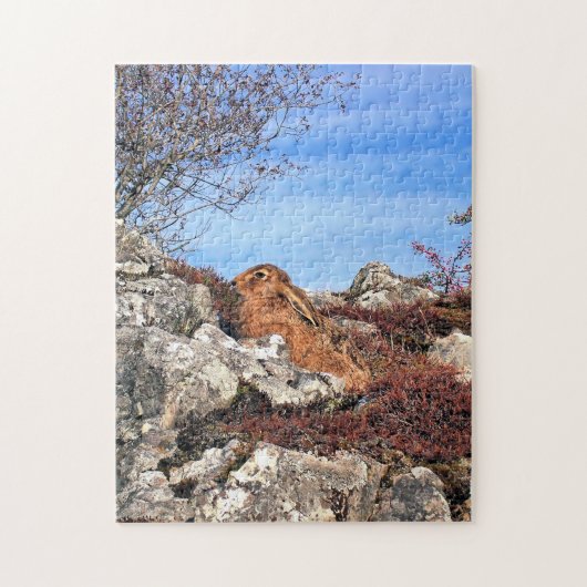 PUZZLE HARE (Vertical)