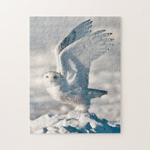 Puzzle Harfang des neiges décollant de la neige