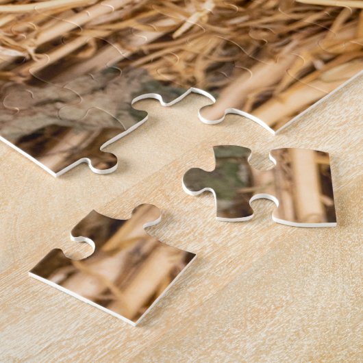 Puzzle Harmal séché (Côté)