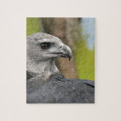 Puzzle Harpy Eagle 1.JPG (Vertical)