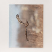 Puzzle Harrier du Nord (Vertical)