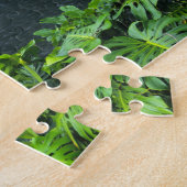 Puzzle Hawaï, Big Island, Hilo, Rainbow Falls, Lush (Côté)