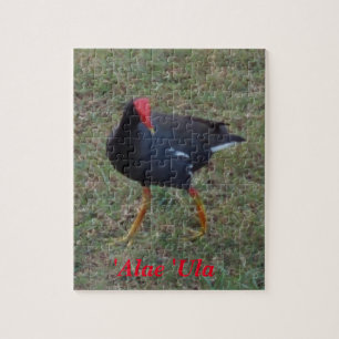 Puzzle Hawaiian Bird