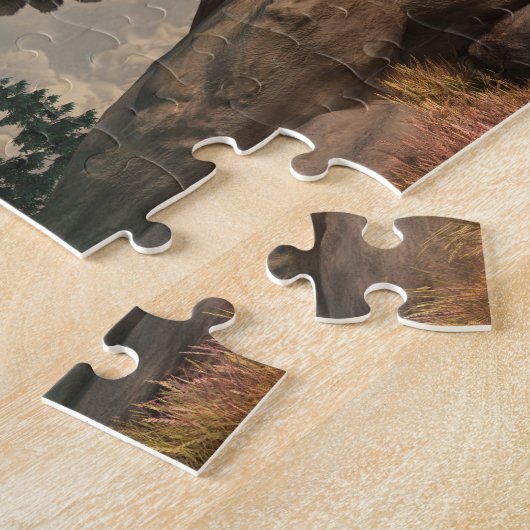 Puzzle Hawk sur les rochers (Côté)