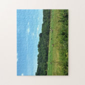 Puzzle Hay Bales, Wytheville, Virginie (Vertical)