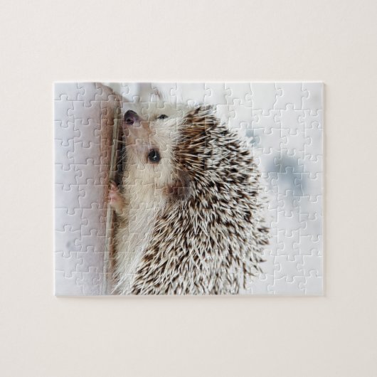 Puzzle Hedgehog (Horizontal)