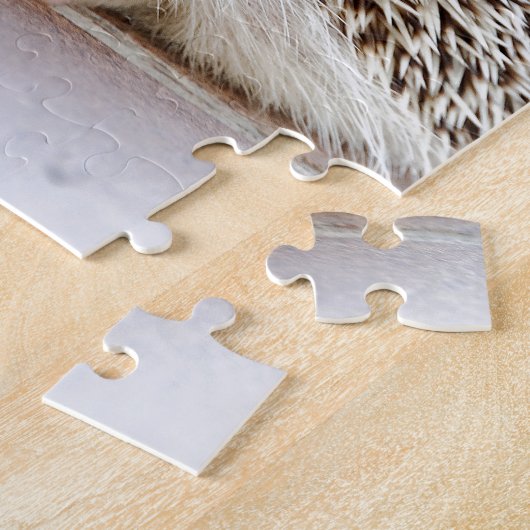 Puzzle Hedgehog (Côté)