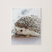 Puzzle Hedgehog (Vertical)