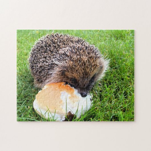 PUZZLE HÉDGEHOG (Horizontal)