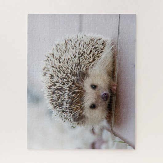 Puzzle Hedgehog (Vertical)