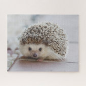 Puzzle Hedgehog (Horizontal)