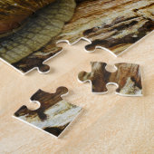 Puzzle Hélice romaine Pomatia d'escargot comestible de (Côté)