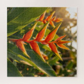 Puzzle Heliconia Orange Tropical Fleur Heure Dorée  (Horizontal)