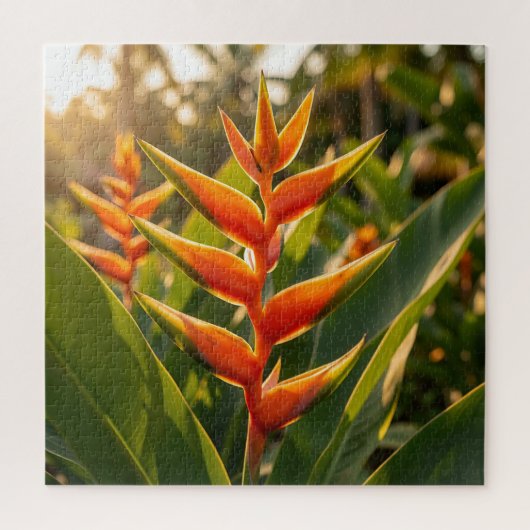 Puzzle Heliconia Orange Tropical Fleur Heure Dorée  (Vertical)