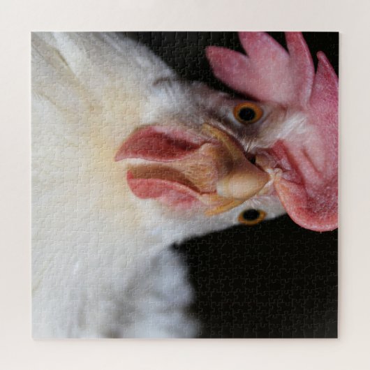 Puzzle Hen (Horizontal)