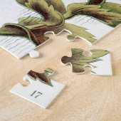 Puzzle Hepaticé Lebermoose par Ernst Haeckel (Côté)