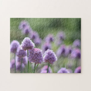 Puzzle Herbe de trèfle rouge Fleurs violettes Nature Phot