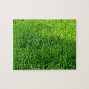 Puzzle Herbe verte très difficile