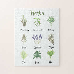 Puzzle Herbes Aquarelle Sage Thyme Vert Plante Cuisine