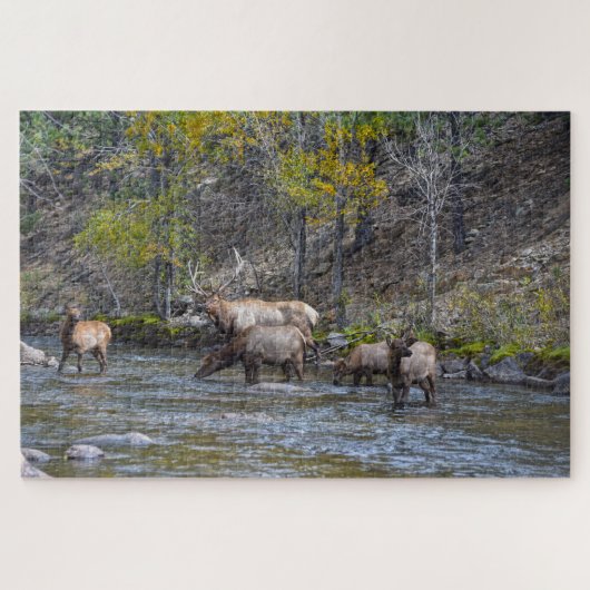 Puzzle Herd Elk dans la rivière Big Thompson (Horizontal)