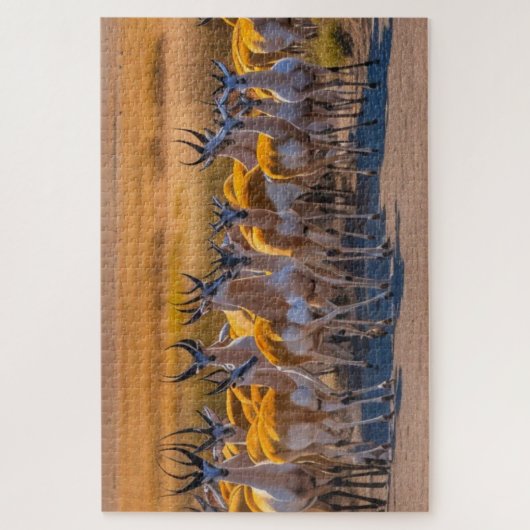 Puzzle Herd Springbok (Vertical)